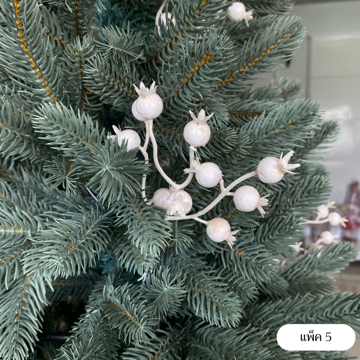 White berry แพ็ค 5