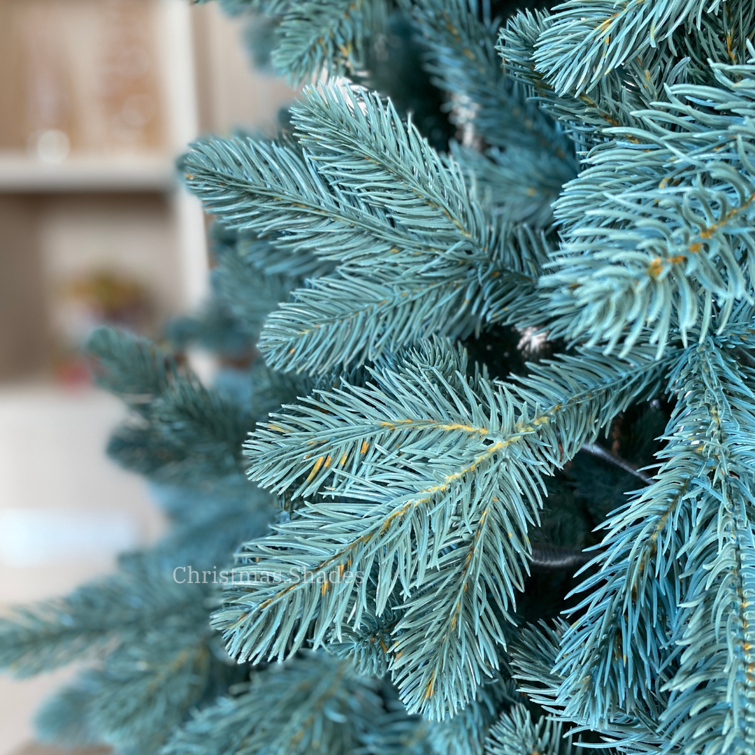 MISTY ASH SPRUCE 5/6/7 ft.