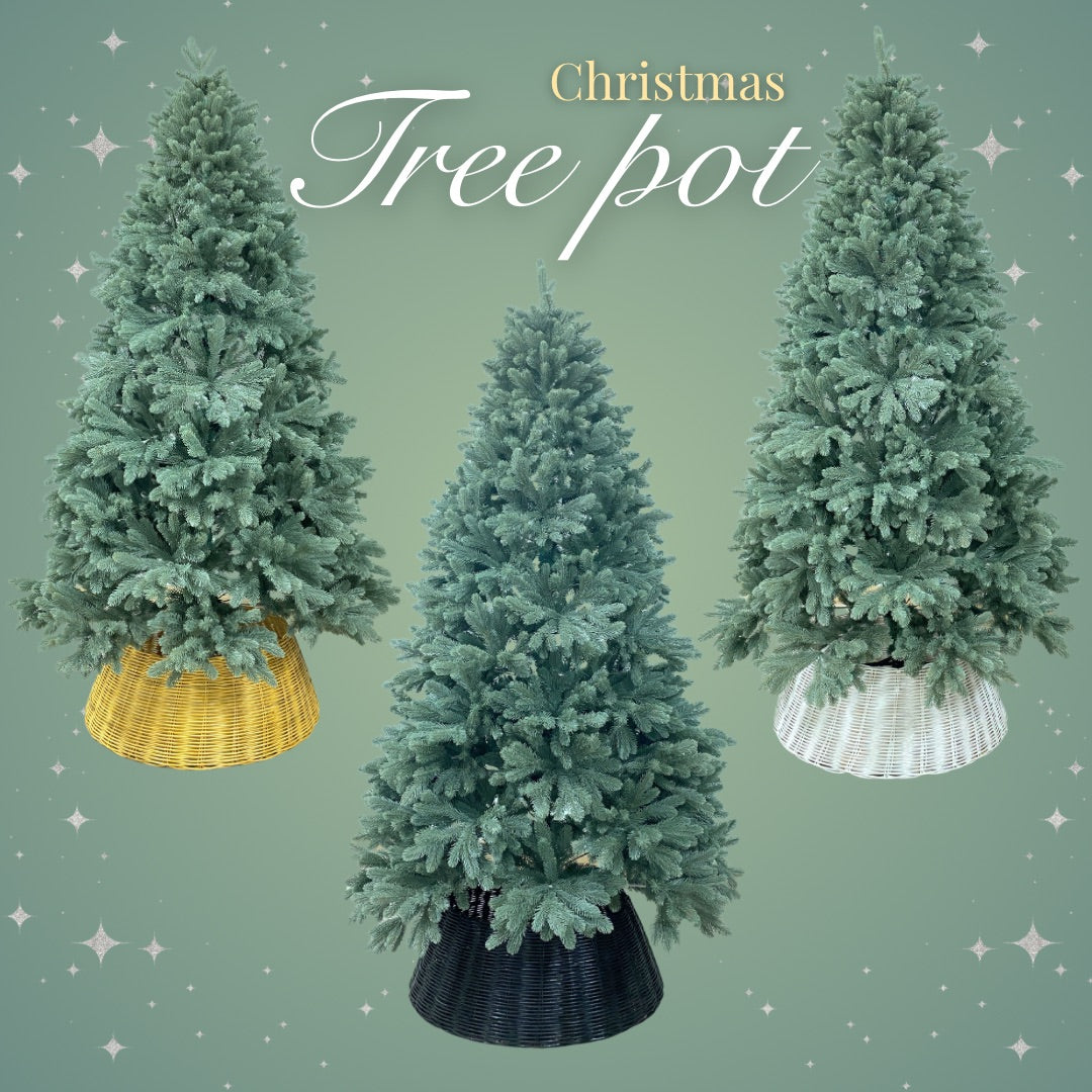 ฐานปิดขาต้นคริสต์มาส