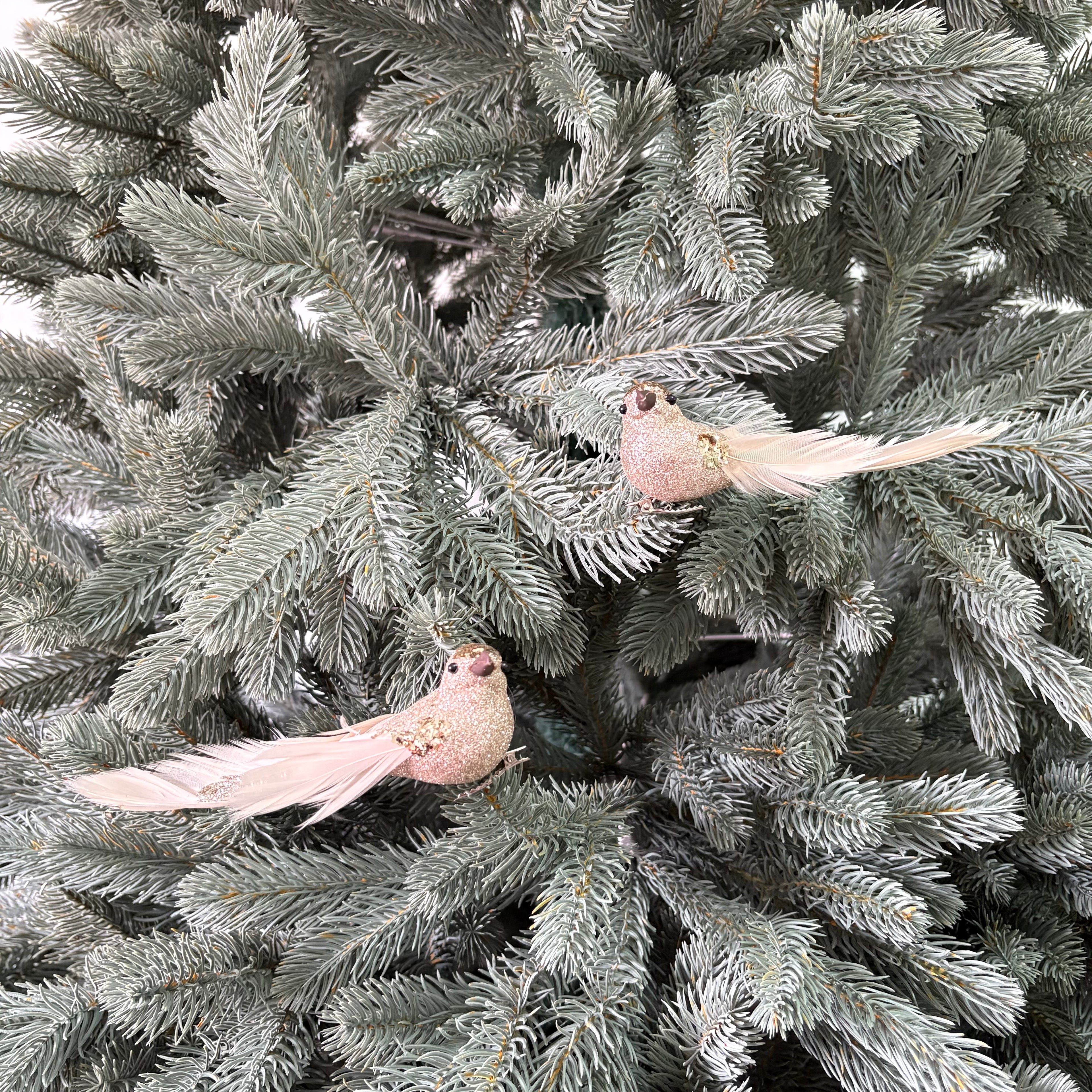 กิ๊ฟนกจำลองแพ็คคู่ แต่งคริสต์มาส สีแชมเปญ